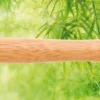 1101500 LESNA Bamboo / metal ballpoint pen